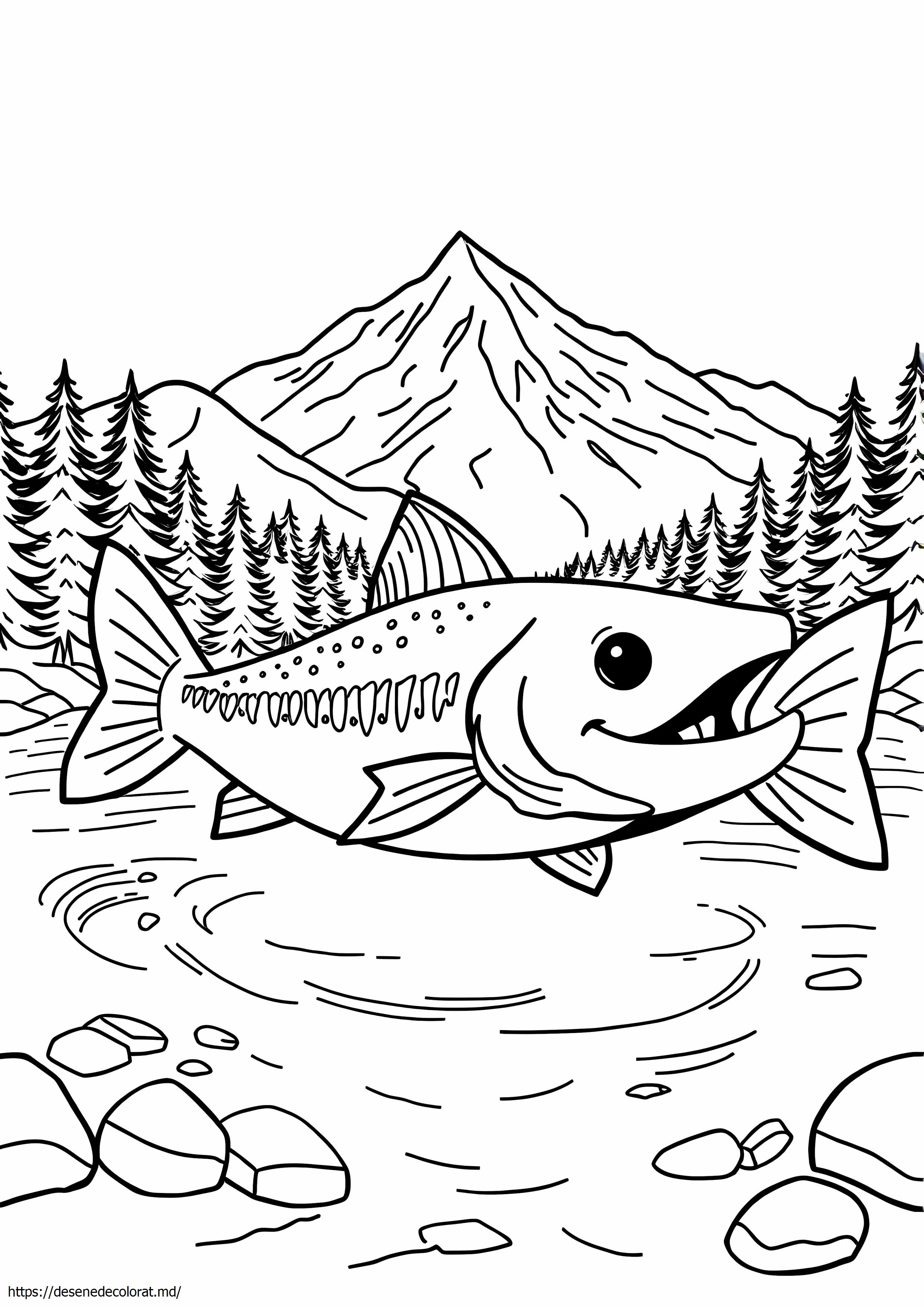 Chinook