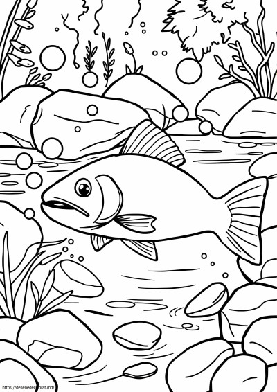Coho