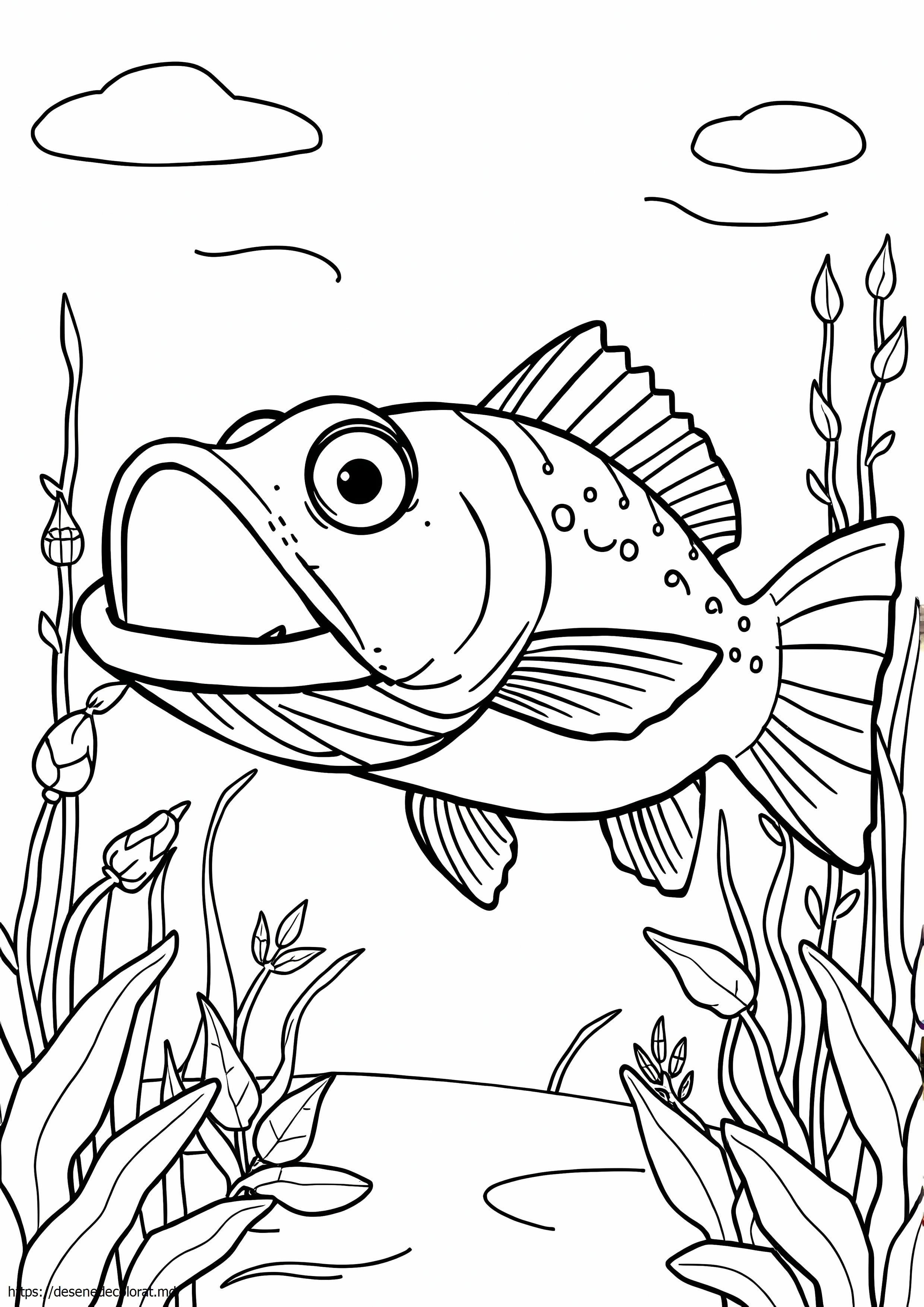 Walleye