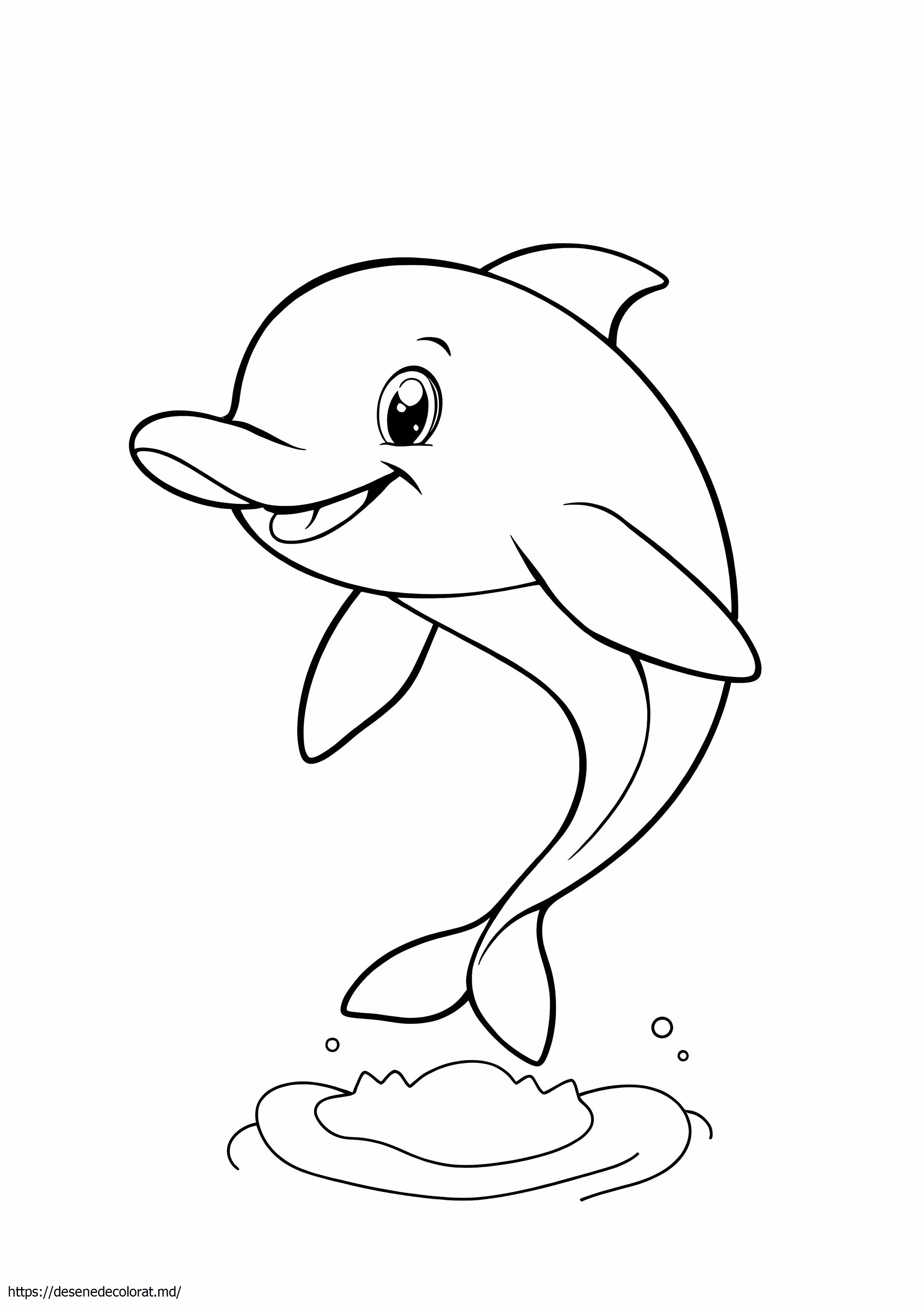 Delfin detaliat