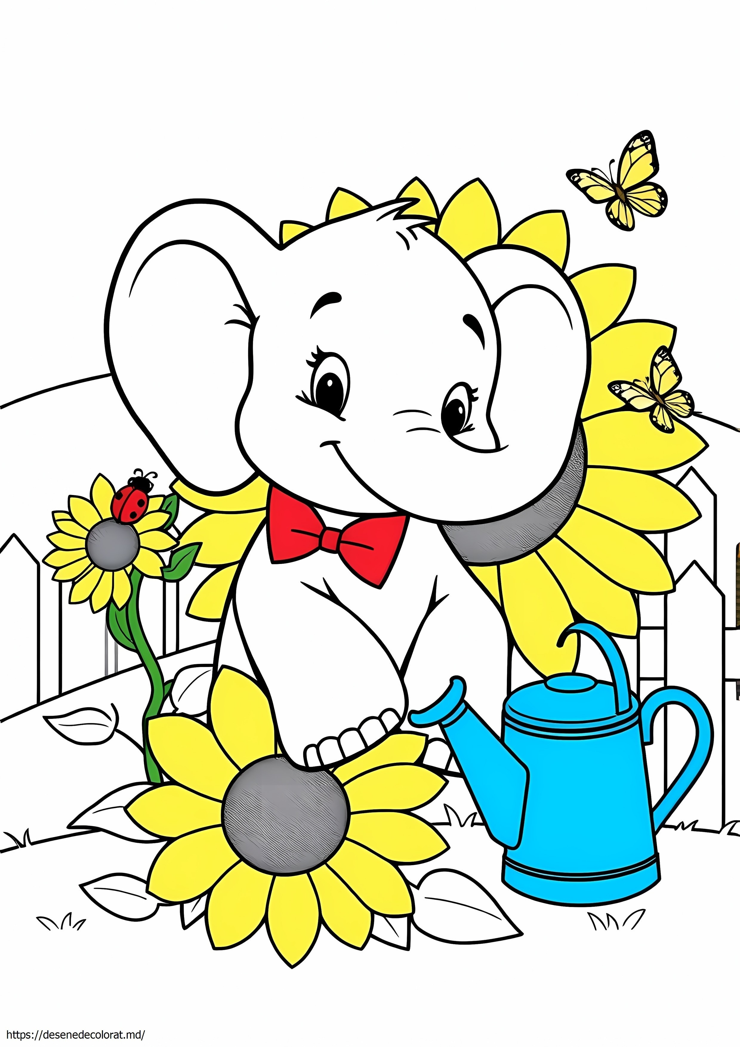 Animal disney
