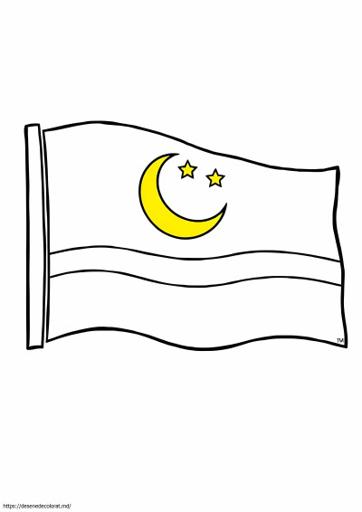 Steag brunei