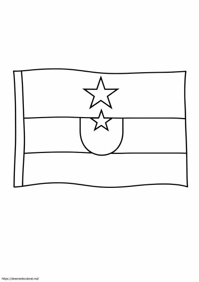 Steagul paraguayului