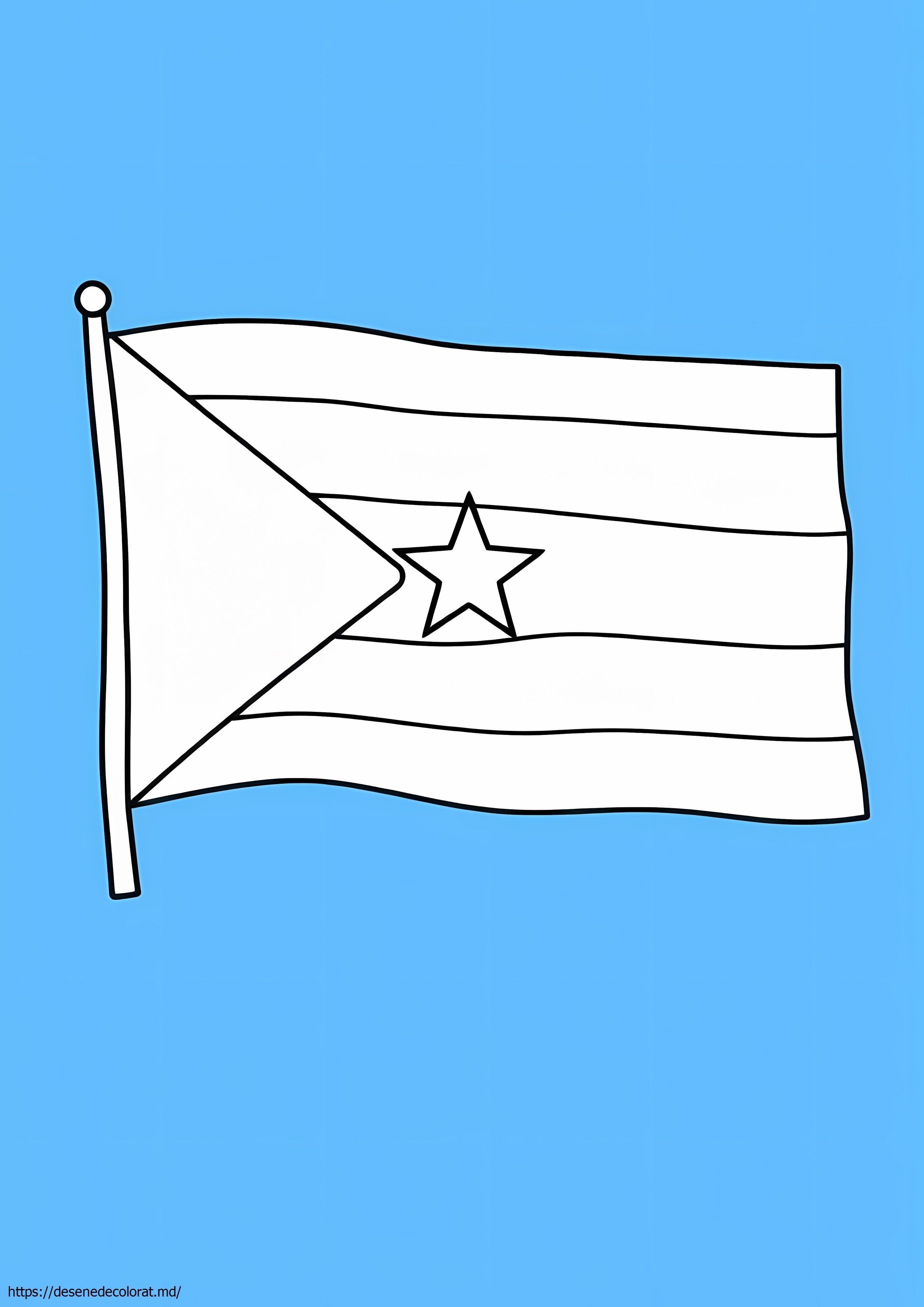 Steag puerto rico