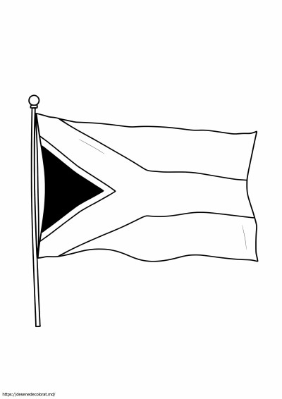 Steag sud-african