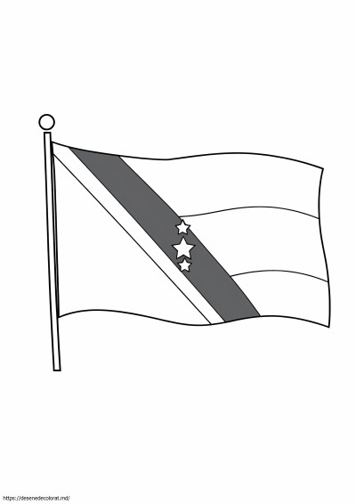 Steag trinidad