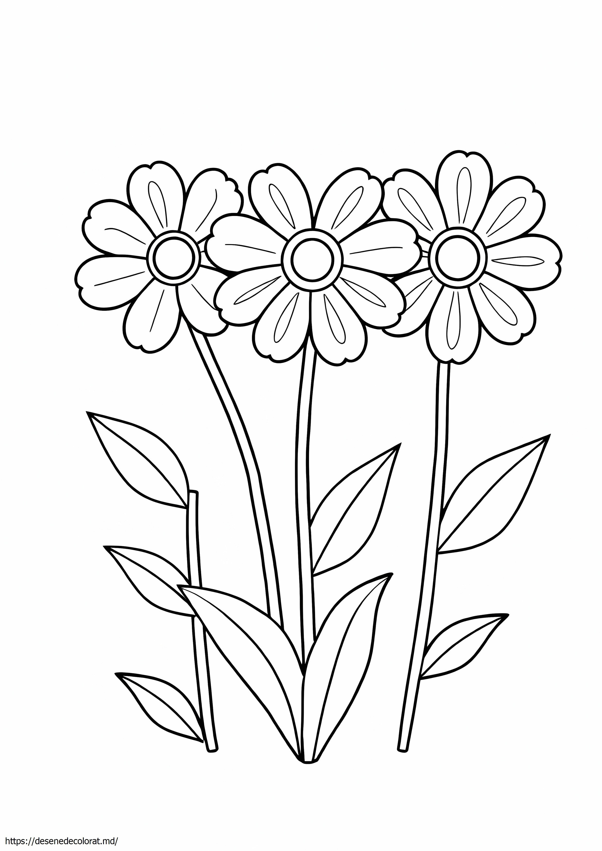 3 flori