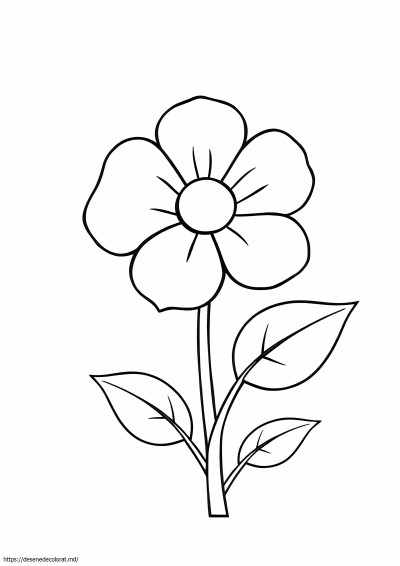 1 floare