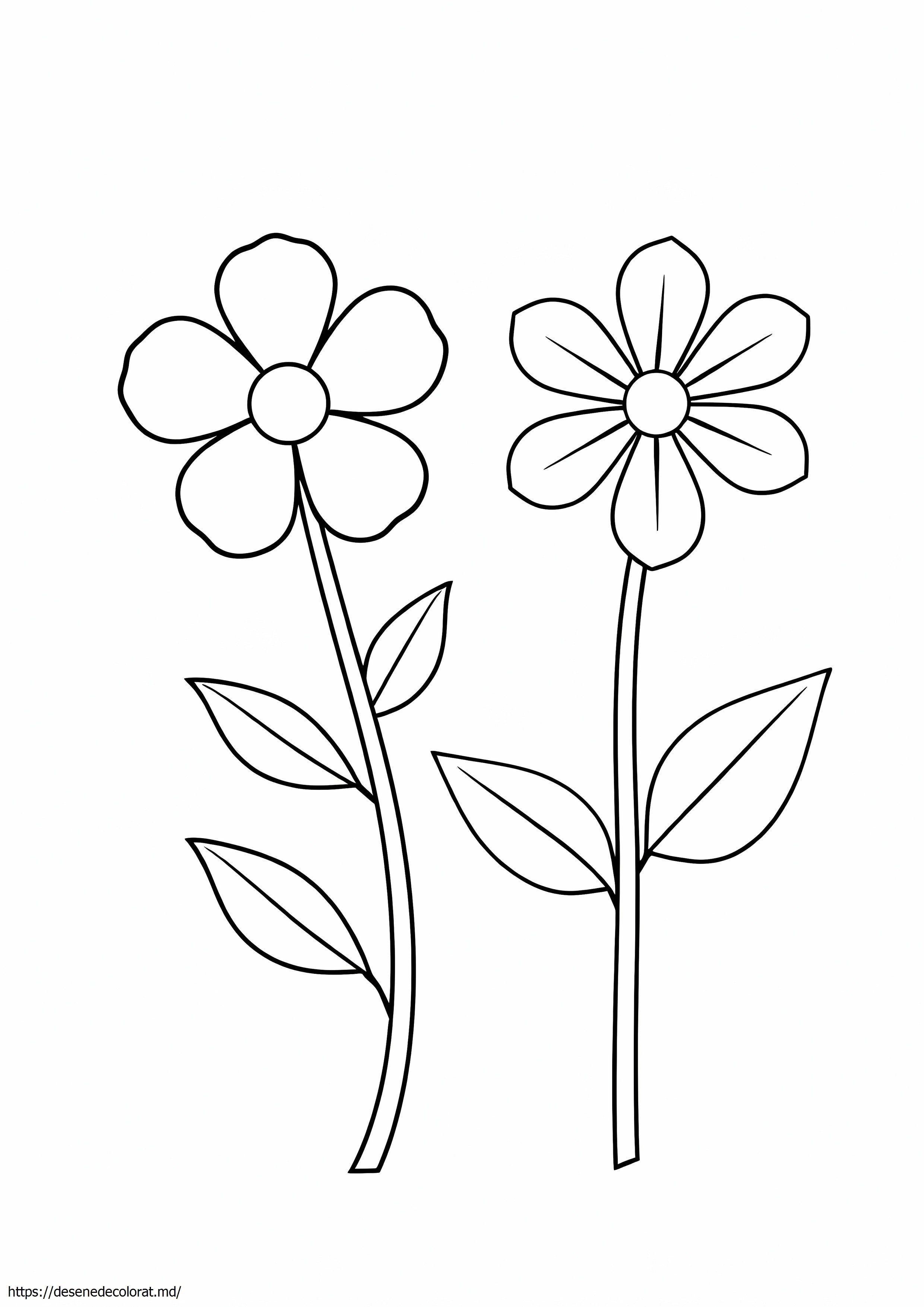 2 flori