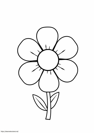 Floare cu 6 petale