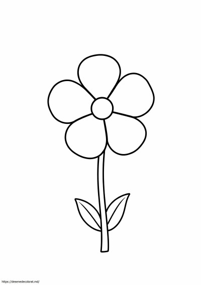 Floare cu 5 petale