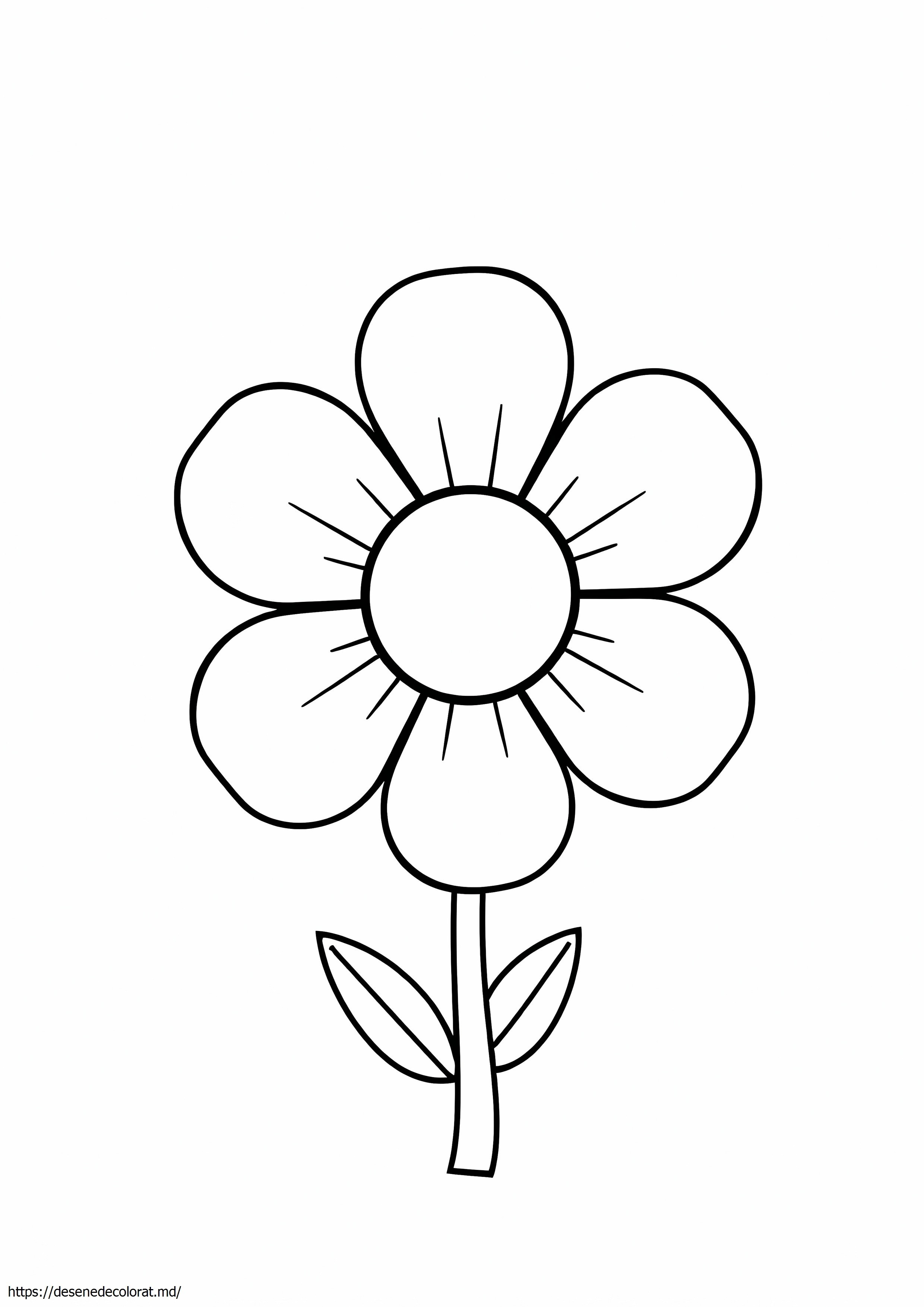 Floare cu 4 petale
