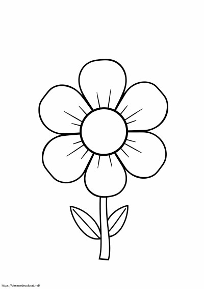 Floare cu 4 petale