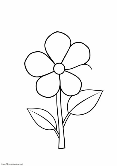 Floare 5x7