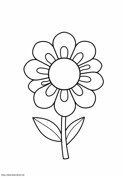 Floare 8x10