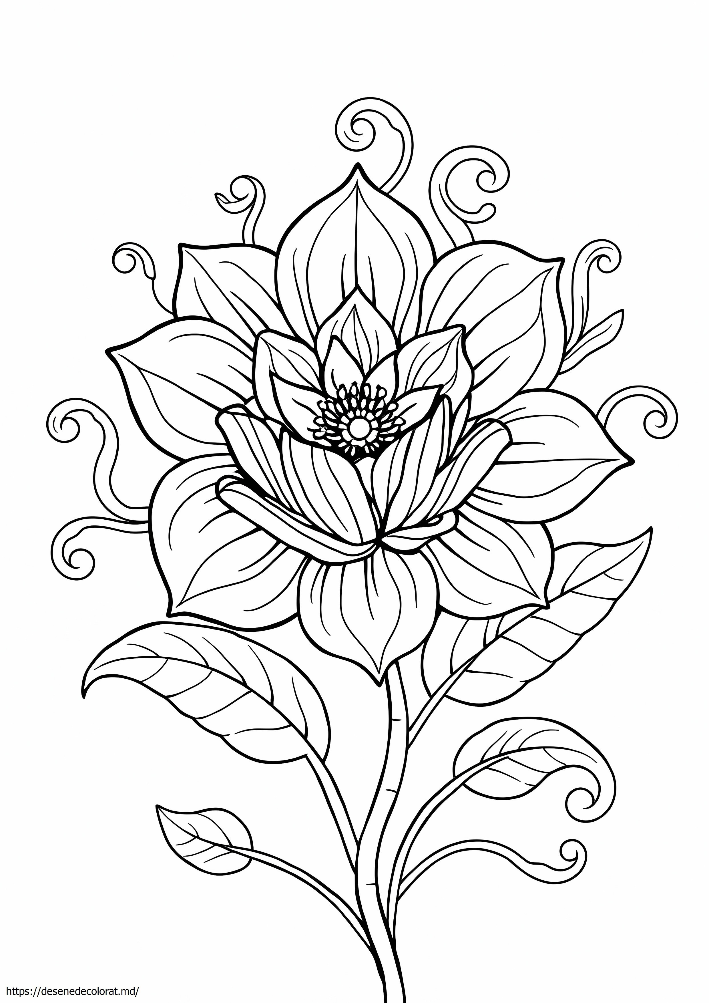 Floare avansată