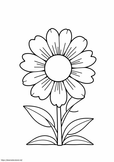 Floare de aster