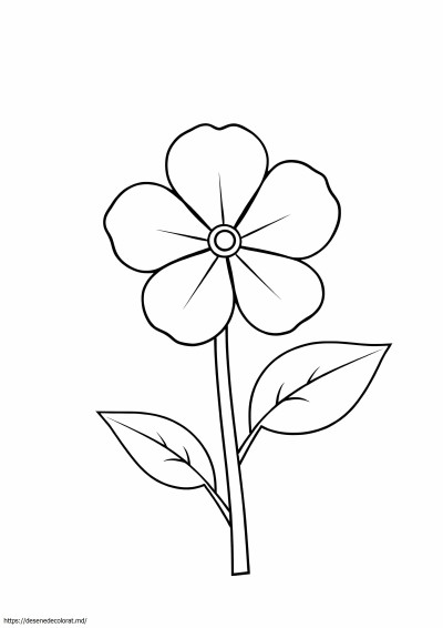 Floarea statului alaska