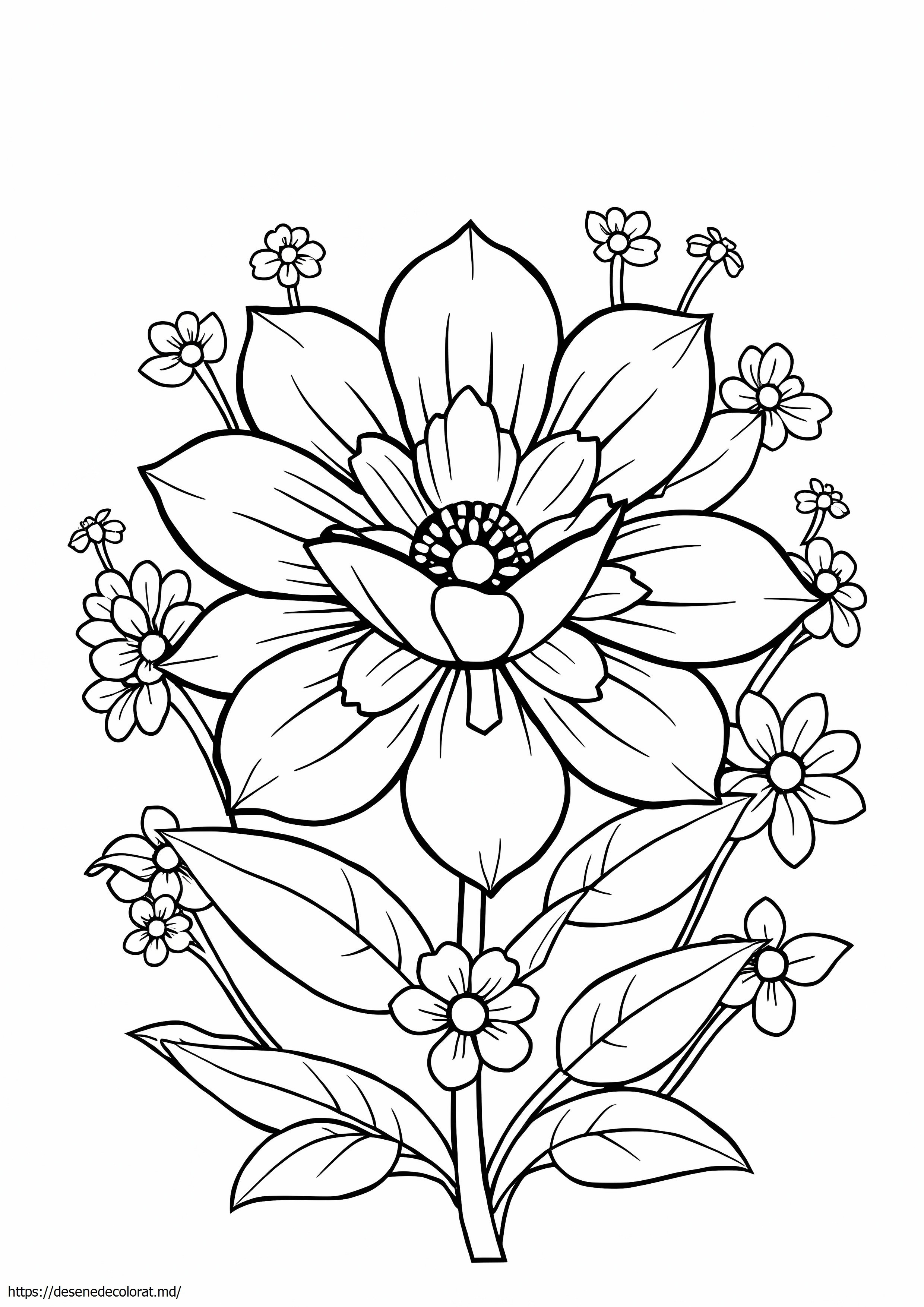 Frumoasa floare