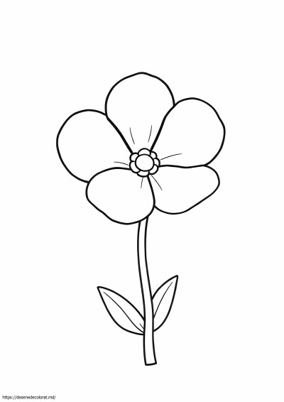 Floare