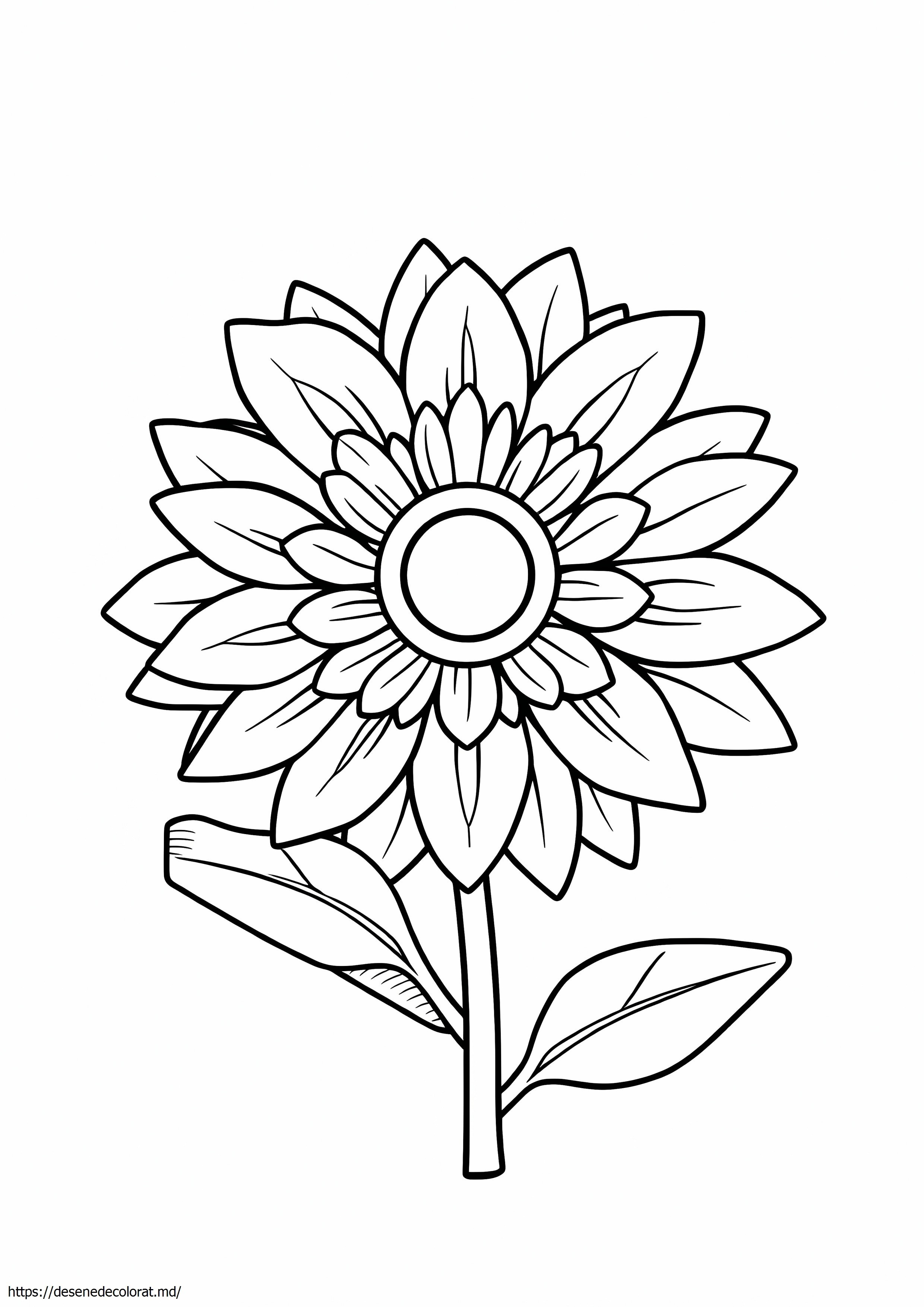 Cartea crizantemei