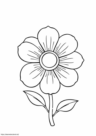 Floare chinezească
