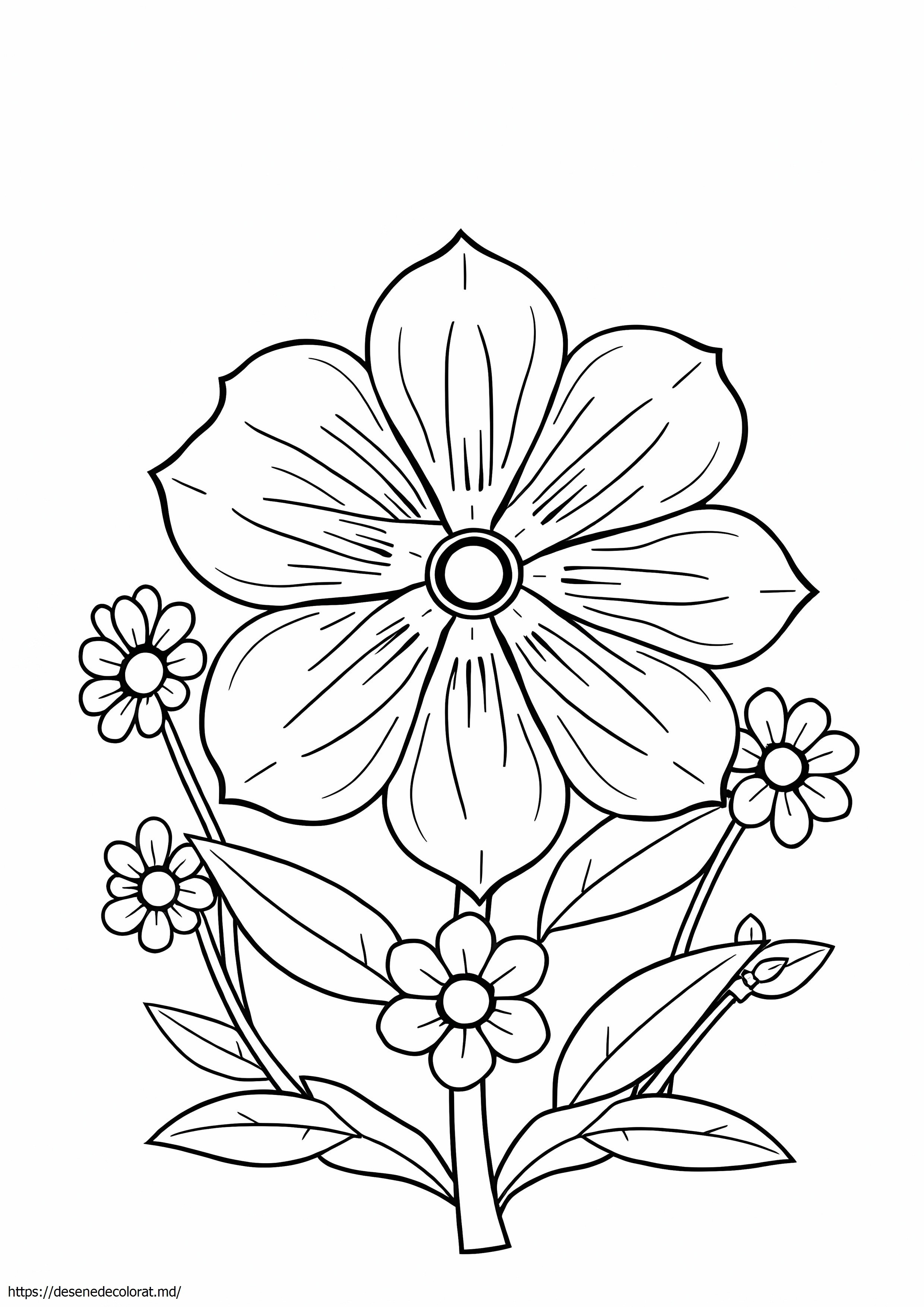 Floare de stat colorado