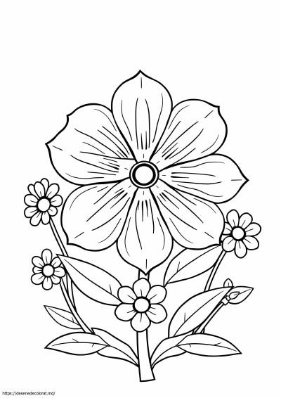 Floare de stat colorado