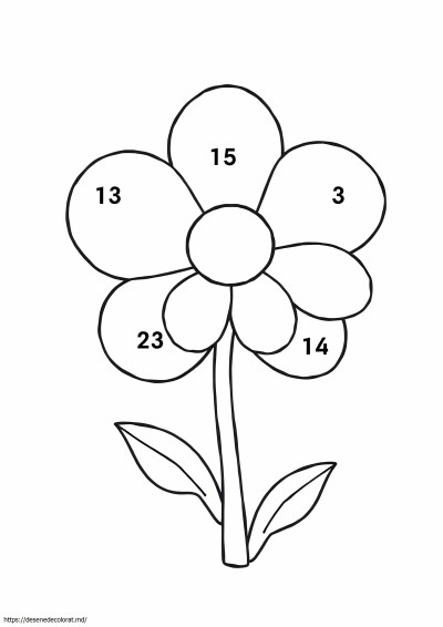 Culoare după număr floare