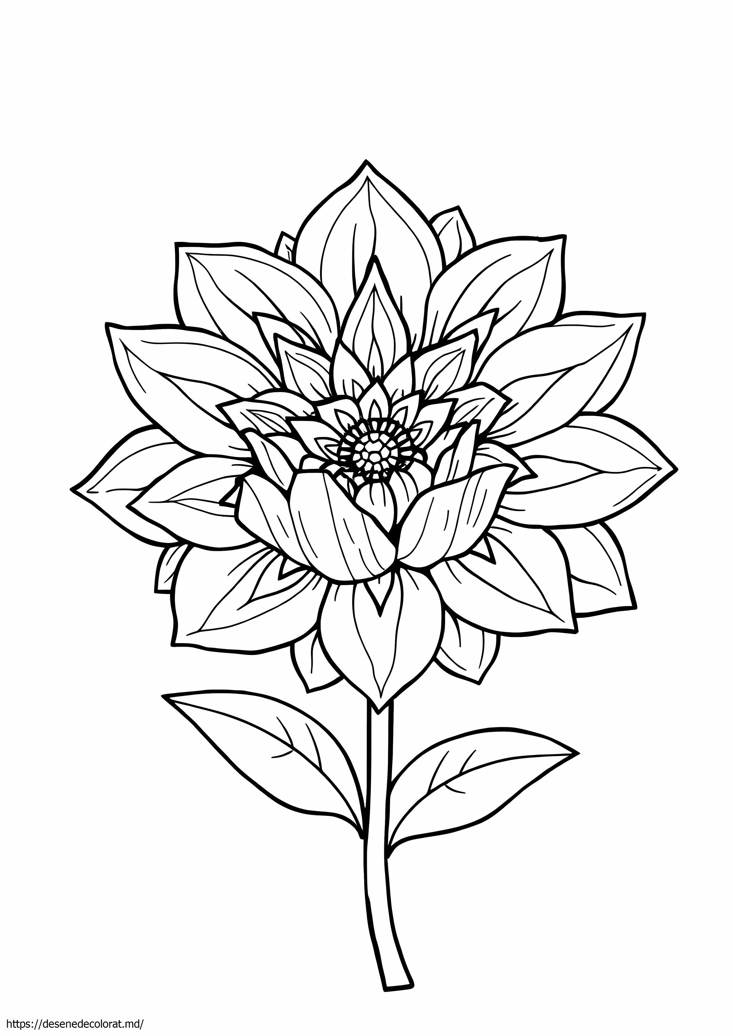 Floare complexă