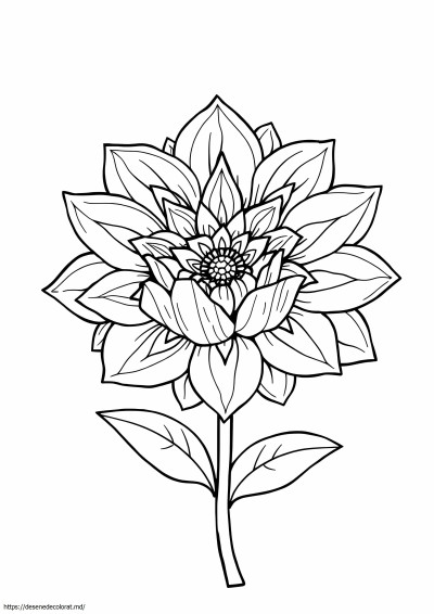 Floare complexă