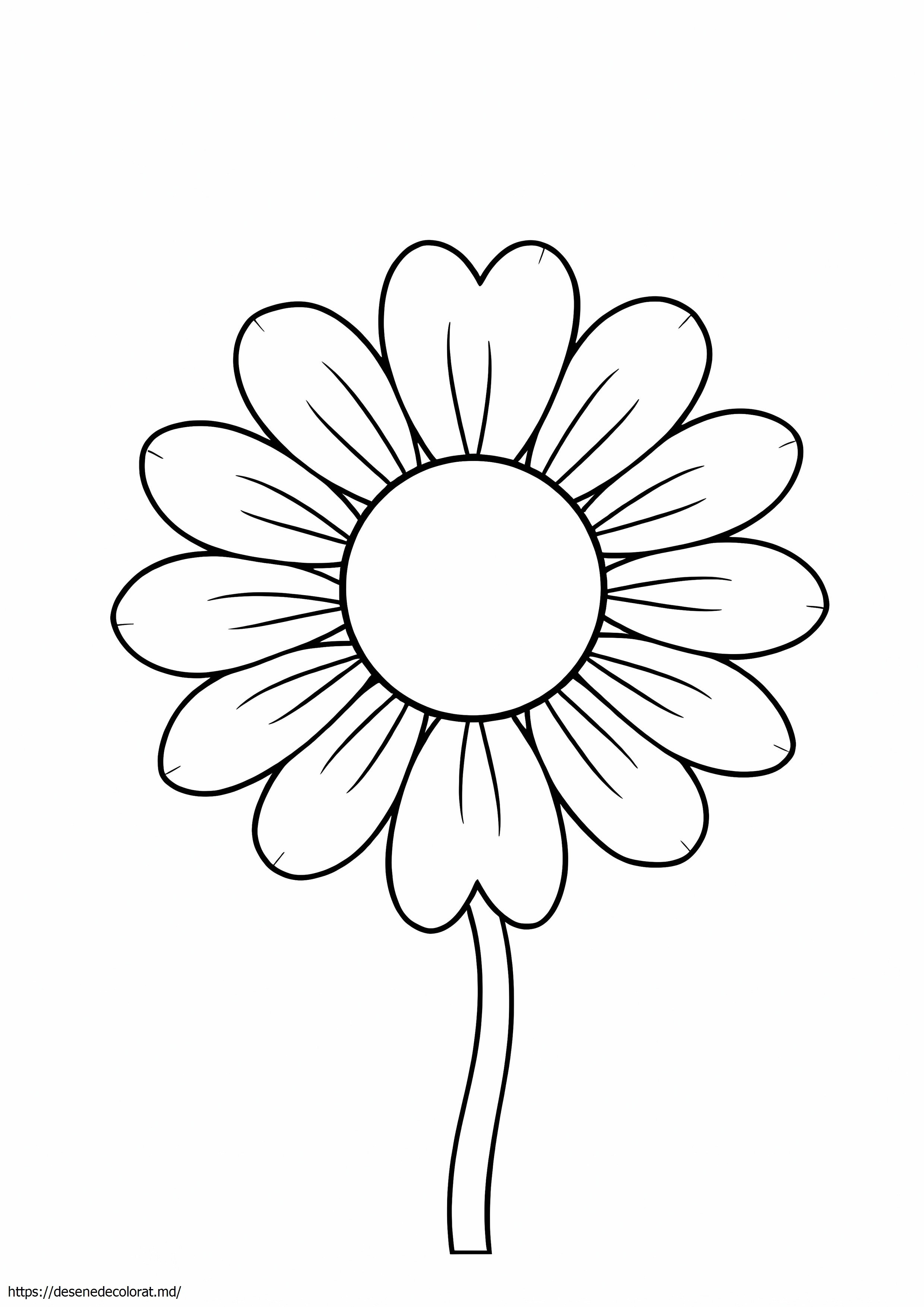 Floare de margaretă