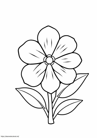 Floare drăguță ușor