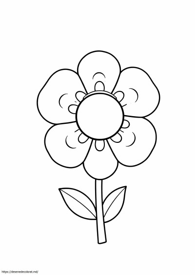 Floare diferită
