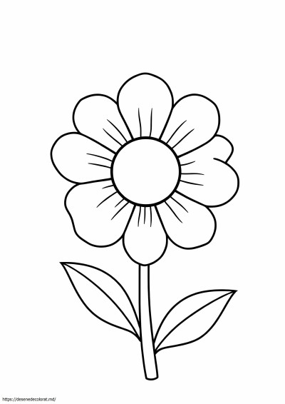 Floare usoara