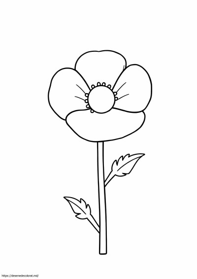 Floare de mac ușoară