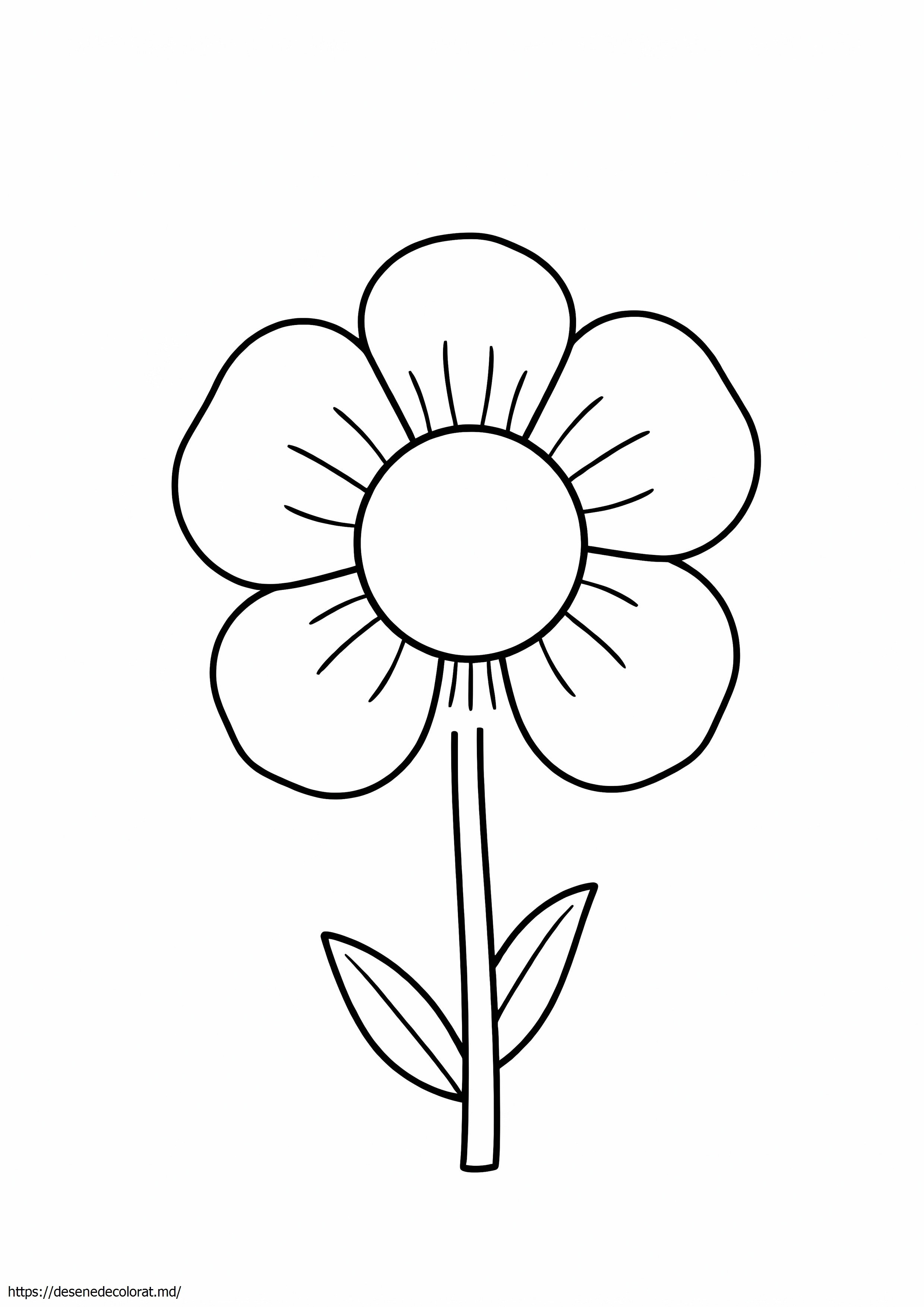 Cap de floare