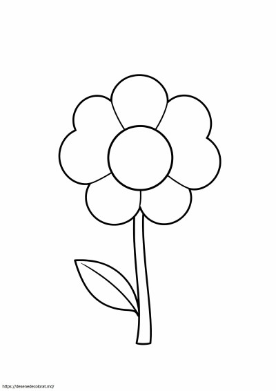 Clipart de flori