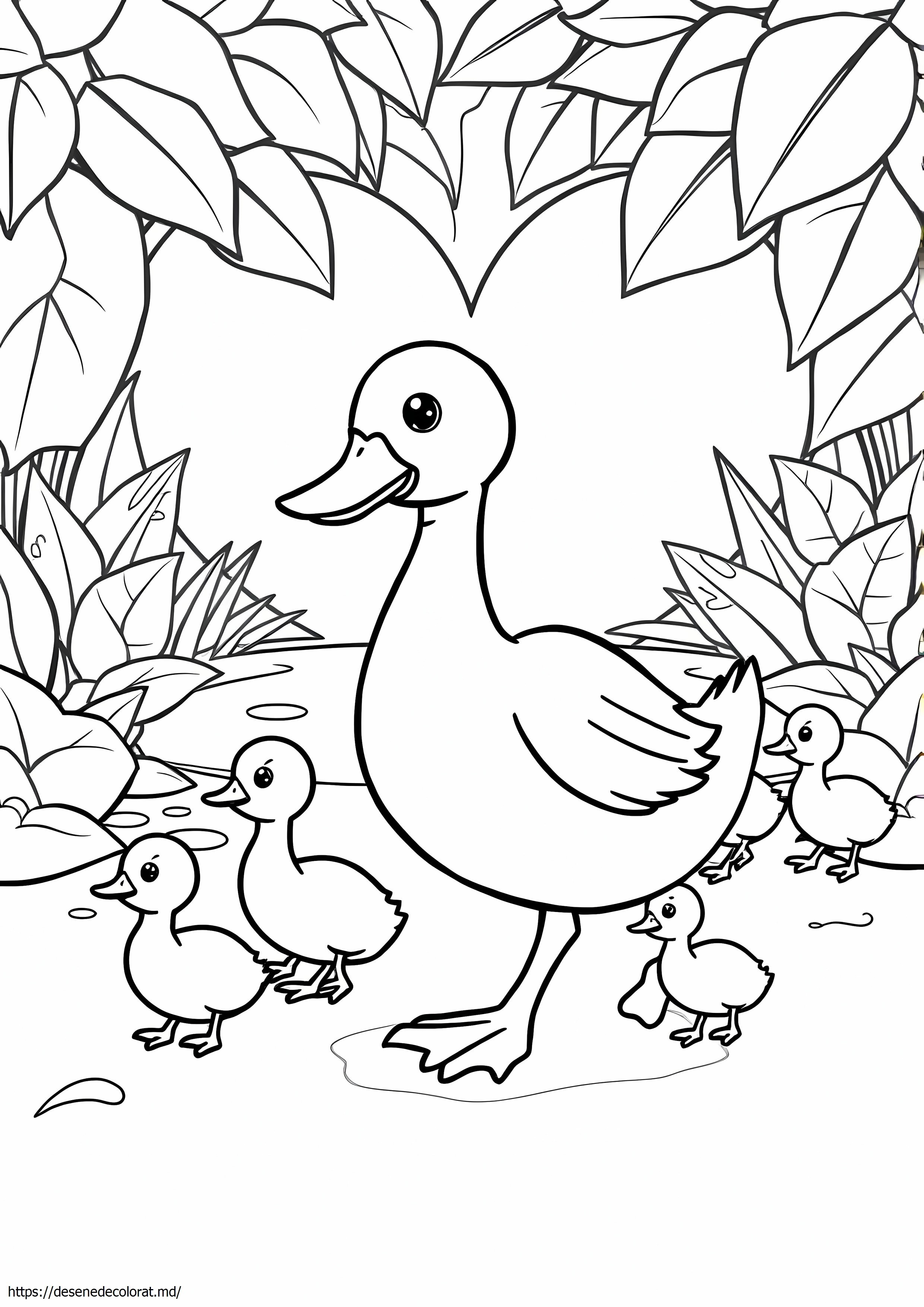 Rață și rățușcă