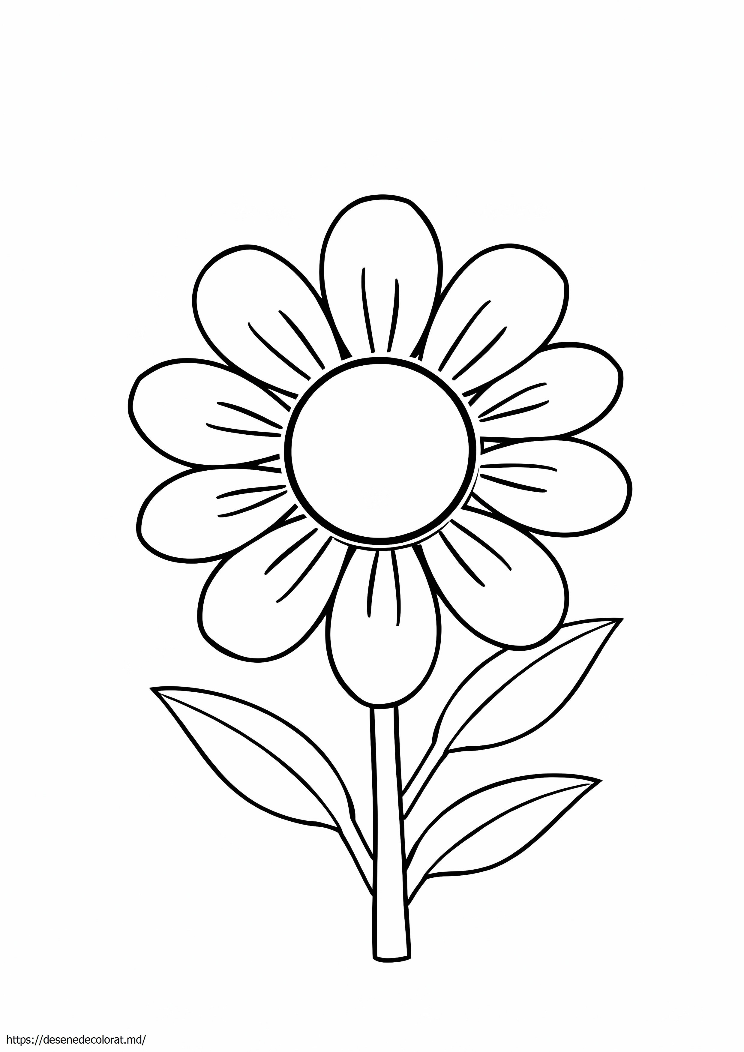 Contururi de flori pentru