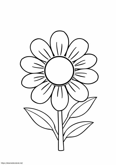 Contururi de flori pentru