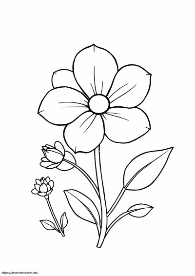 Scrisoare de flori