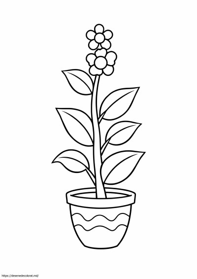 Planta cu flori