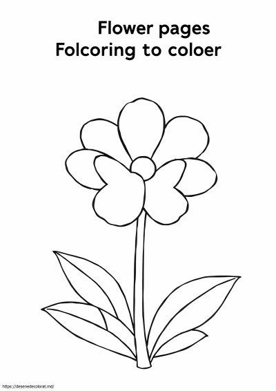 Pagini cu flori de colorat