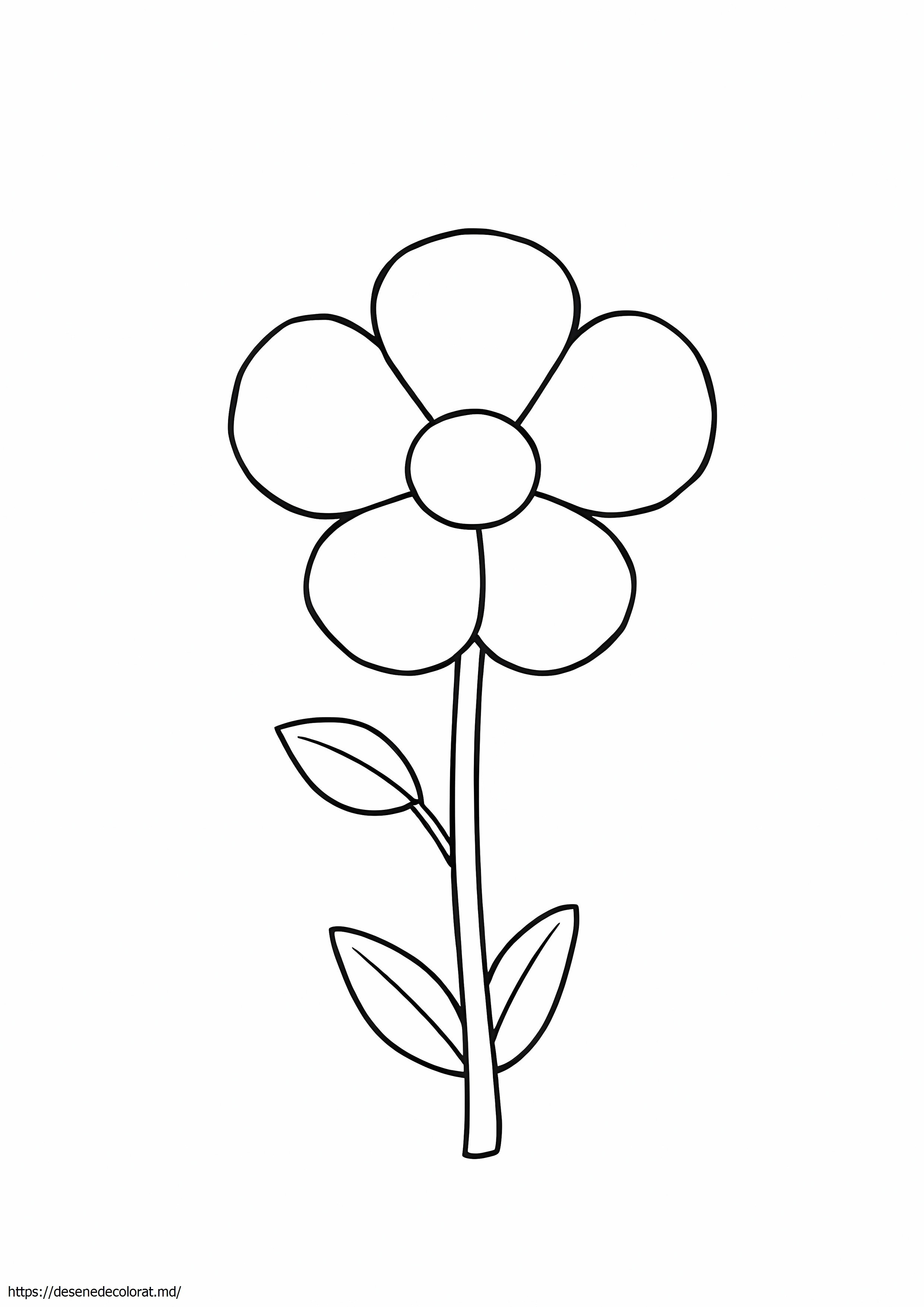Tare drăguță floare