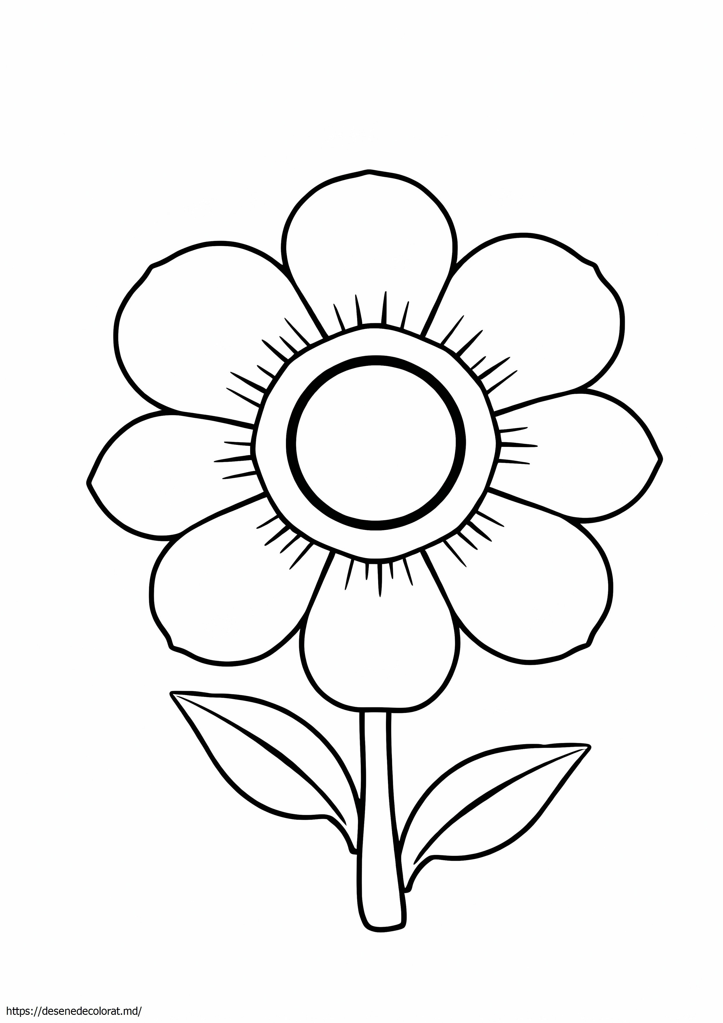 Floare mare