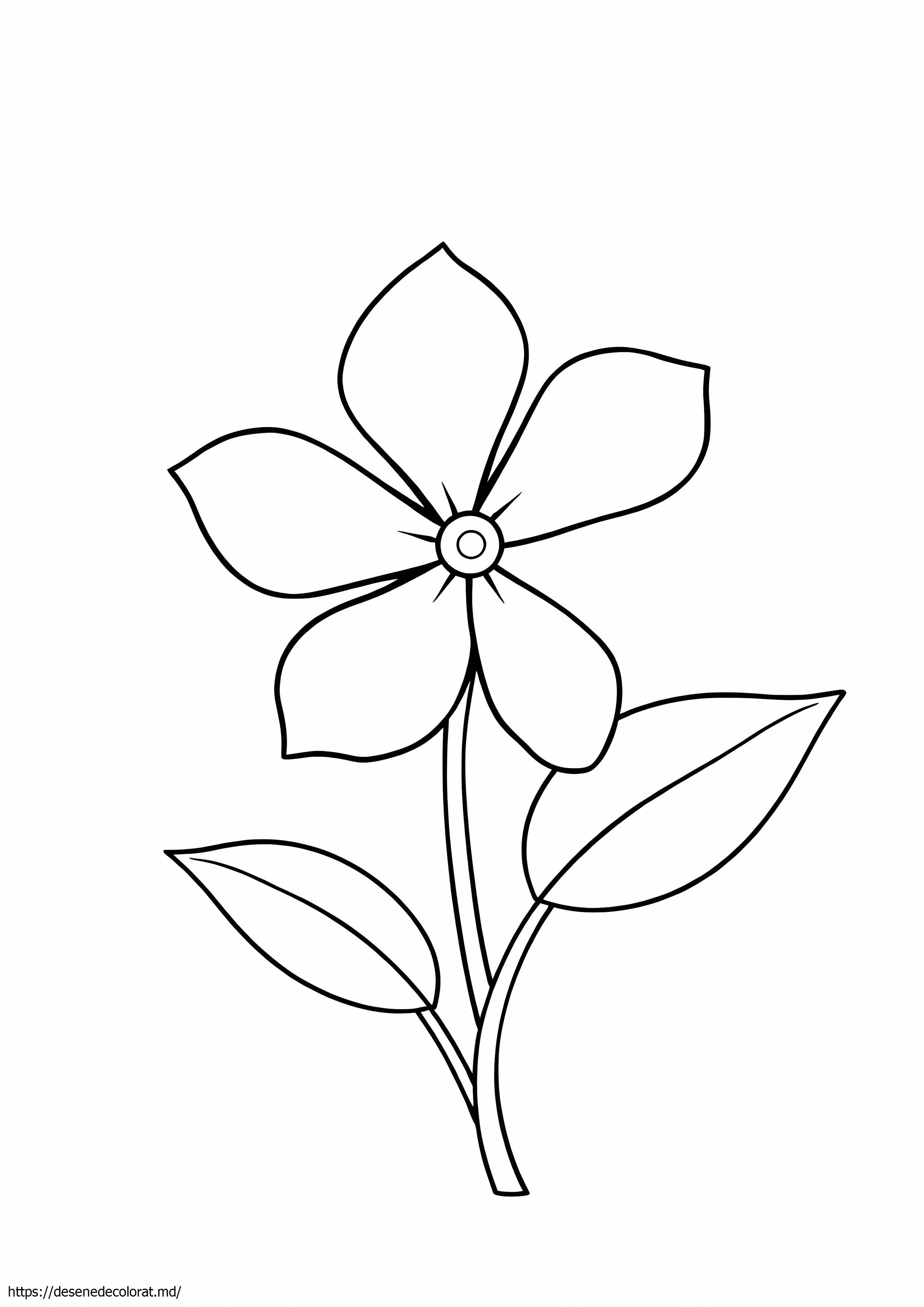 Floare de iasomie