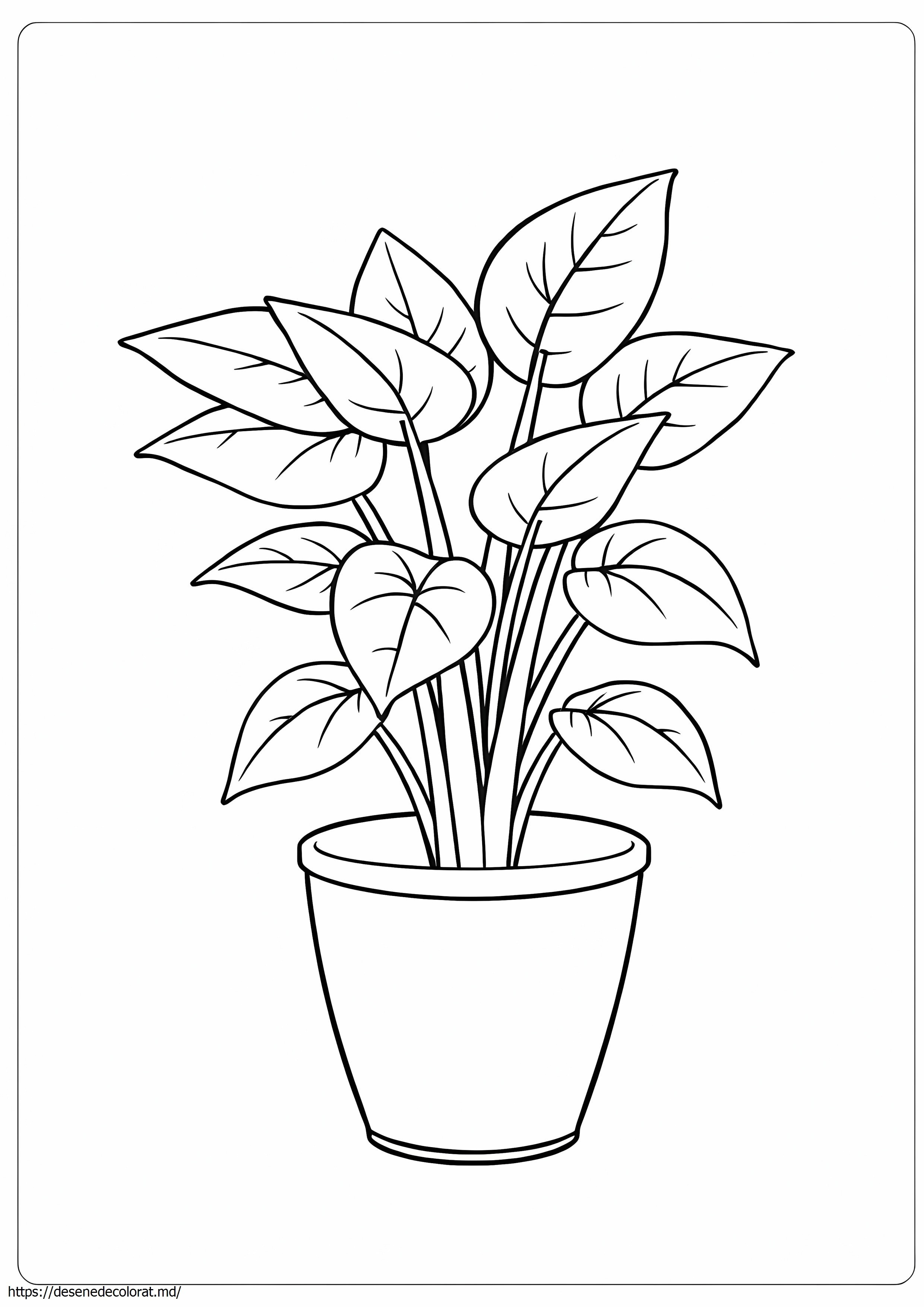 Planta de apartament