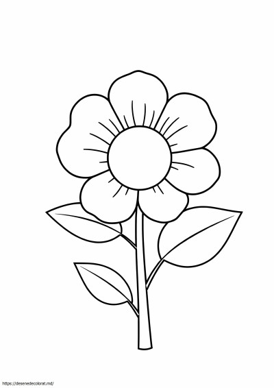 Floare frumoasa