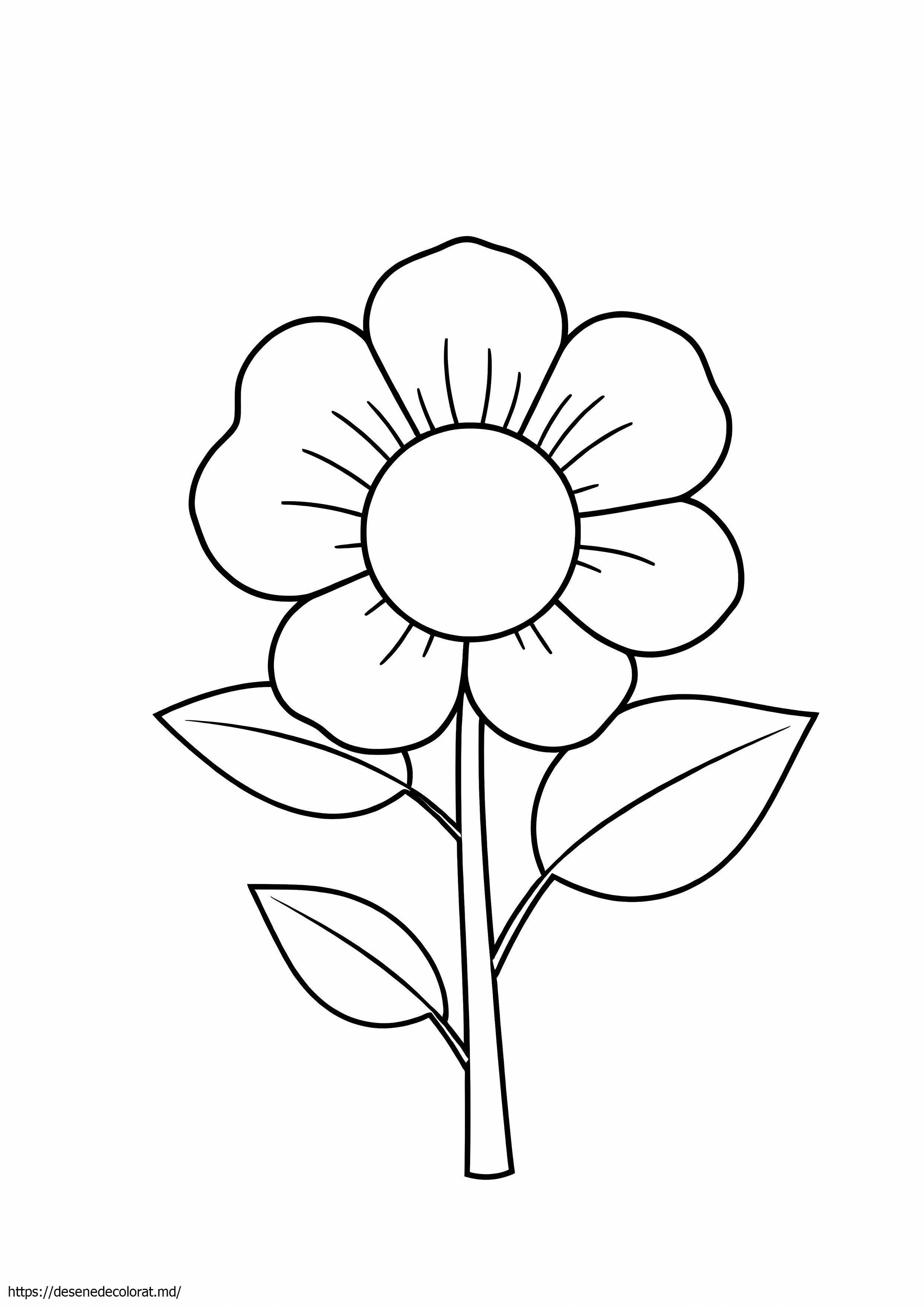 Floare frumoasa